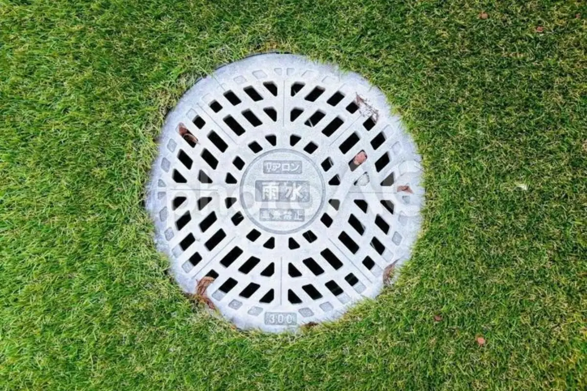 Septic drain field area of a Florida yard marked with a stake